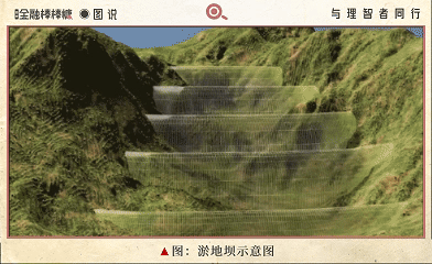 卖碳赚得150万！陕北小县“资本觉醒”启示录(图1)