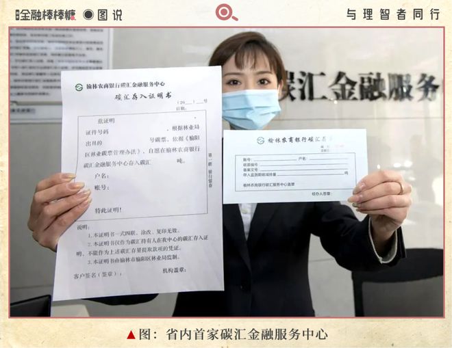 卖碳赚得150万！陕北小县“资本觉醒”启示录(图6)