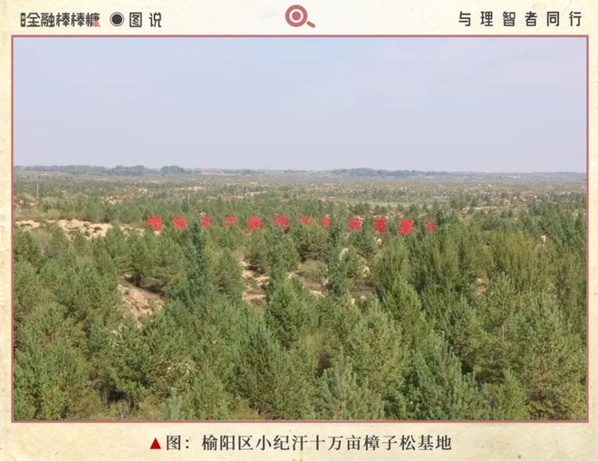 卖碳赚得150万！陕北小县“资本觉醒”启示录(图3)