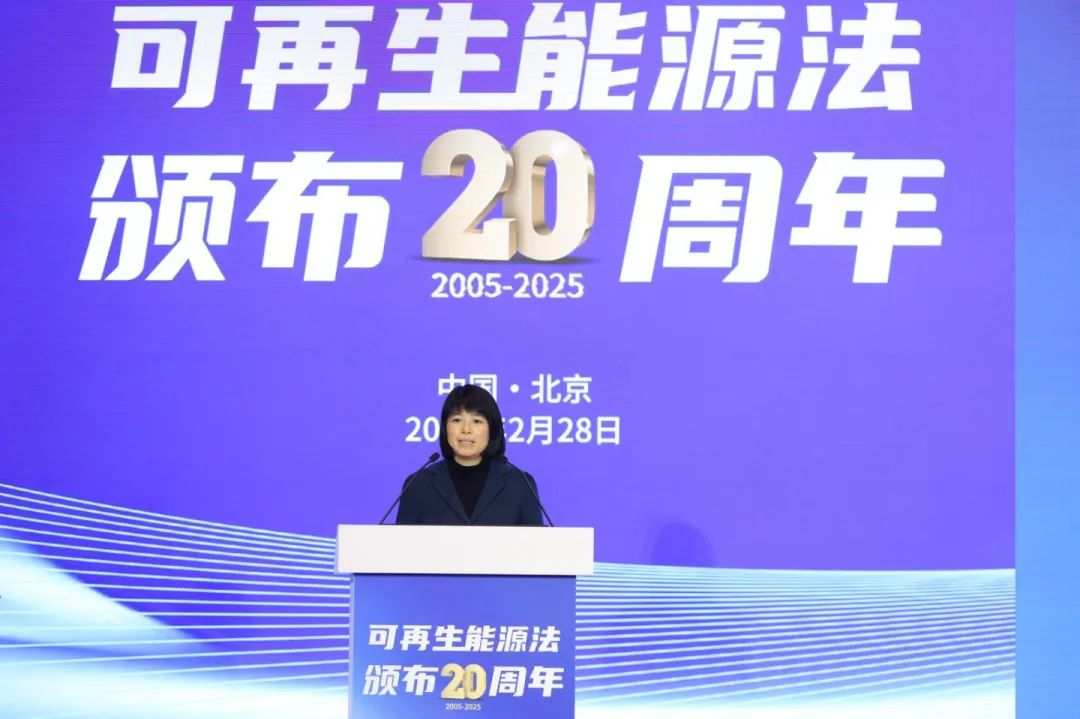 可再生能源法颁布20周年主题活动——共绘绿色转型新蓝图(图3)