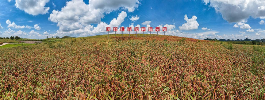 秸秆处理技术迎来重大突破 国台数智酒业将联合深圳秸美引领白酒行业绿色变革(图3)
