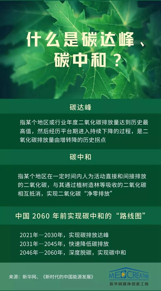 碳中和20强排名-2024第四季度股票每股收益榜单