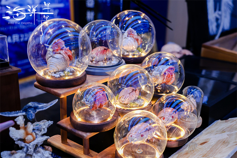 化身“虚拟深潜员”潜入万米深海 4D大片《海洋深深》让观众“看见”海洋之美(图2)