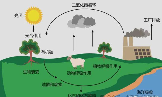 碳中和产业图谱：零碳浪潮下的危与机(图6)