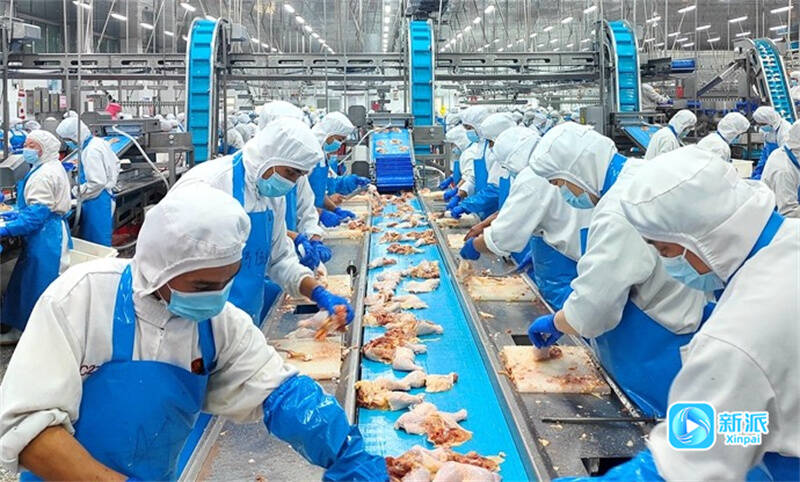GDP突破8200亿增长59%潍坊经济运行稳健向好攀高进位(图5)