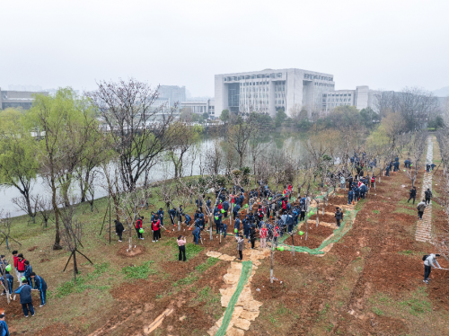 春拂潇湘·绿润校园 ——中南大学开展2025年植树节活动(图3)