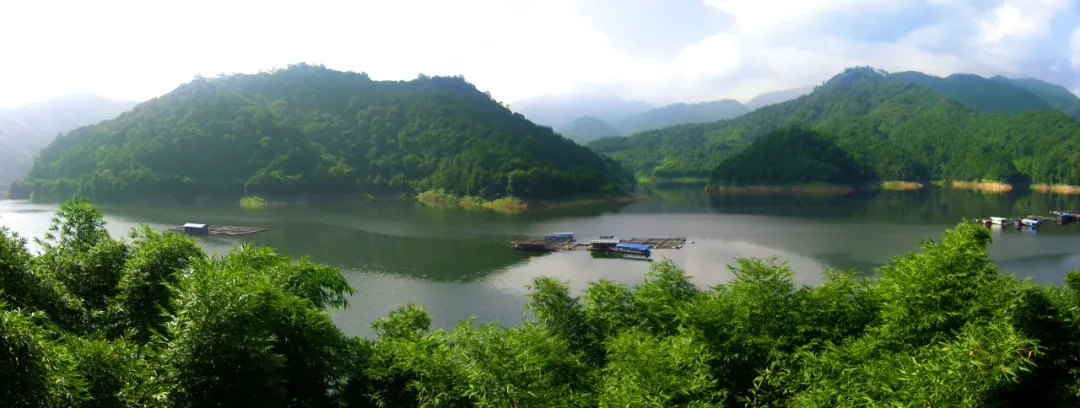 龙岩：打造森林“四库” 实现绿富双赢(图2)