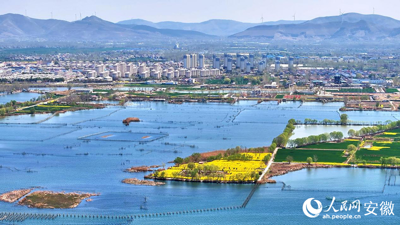 安徽向前｜“煤城”突围记(图6)