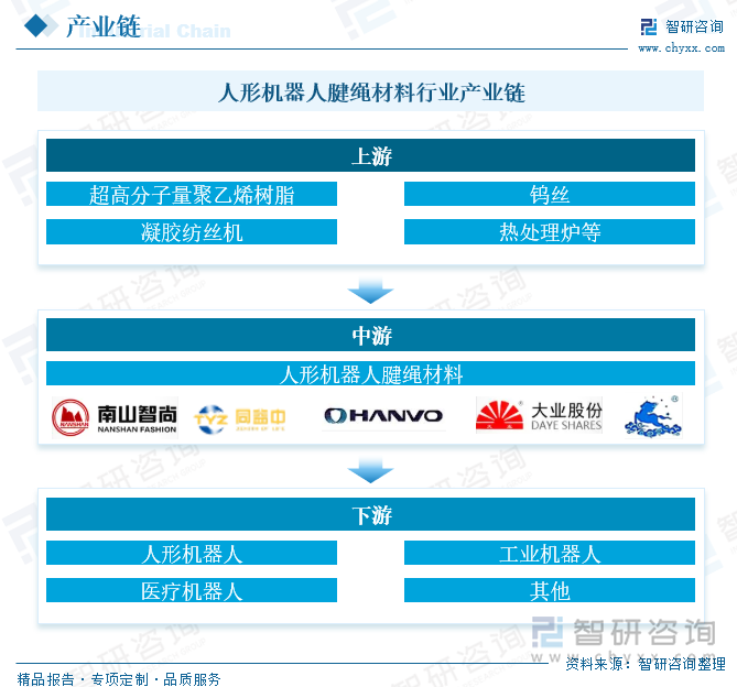 研判2025！中国人形机器人腱绳材料行业产业链、市场规模及重点企业分析：技术突破与成本优势并进中国人形机器人腱绳材料企业崛起[图](图4)