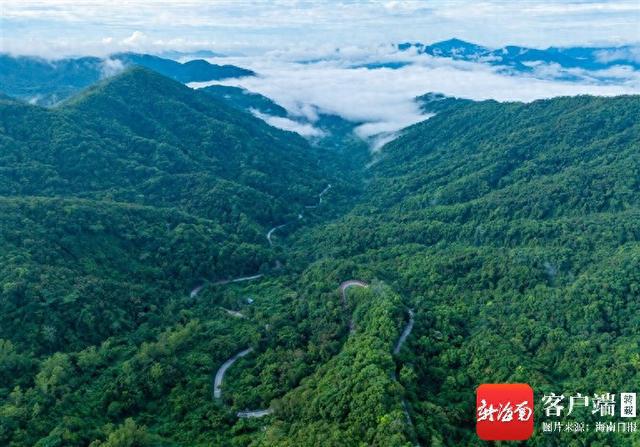 标志性工程“刷新”、“两山”转化“上新”……海南绿水青山景色新(图1)