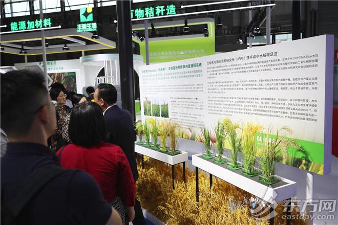 上海国际碳中和博览会开幕绿色低碳技术这样改变我们的生活(图4)