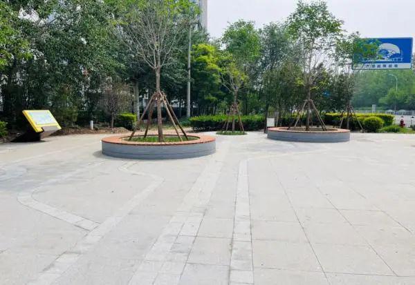 打造家门口的“环保课堂” 天津滨海高新区华苑低碳公园开园(图1)