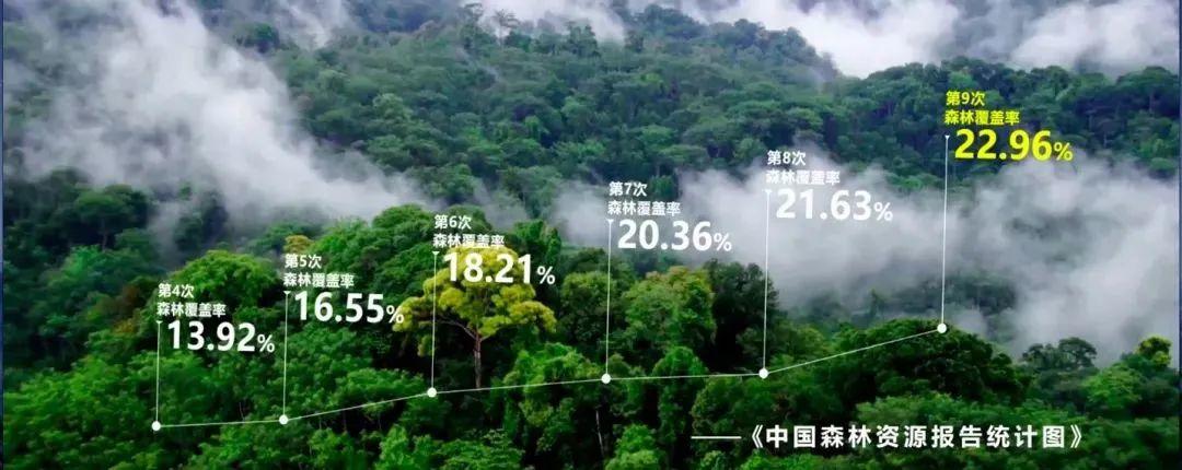 碳中和·为什么要实现“碳中和”？意义在哪？(图5)
