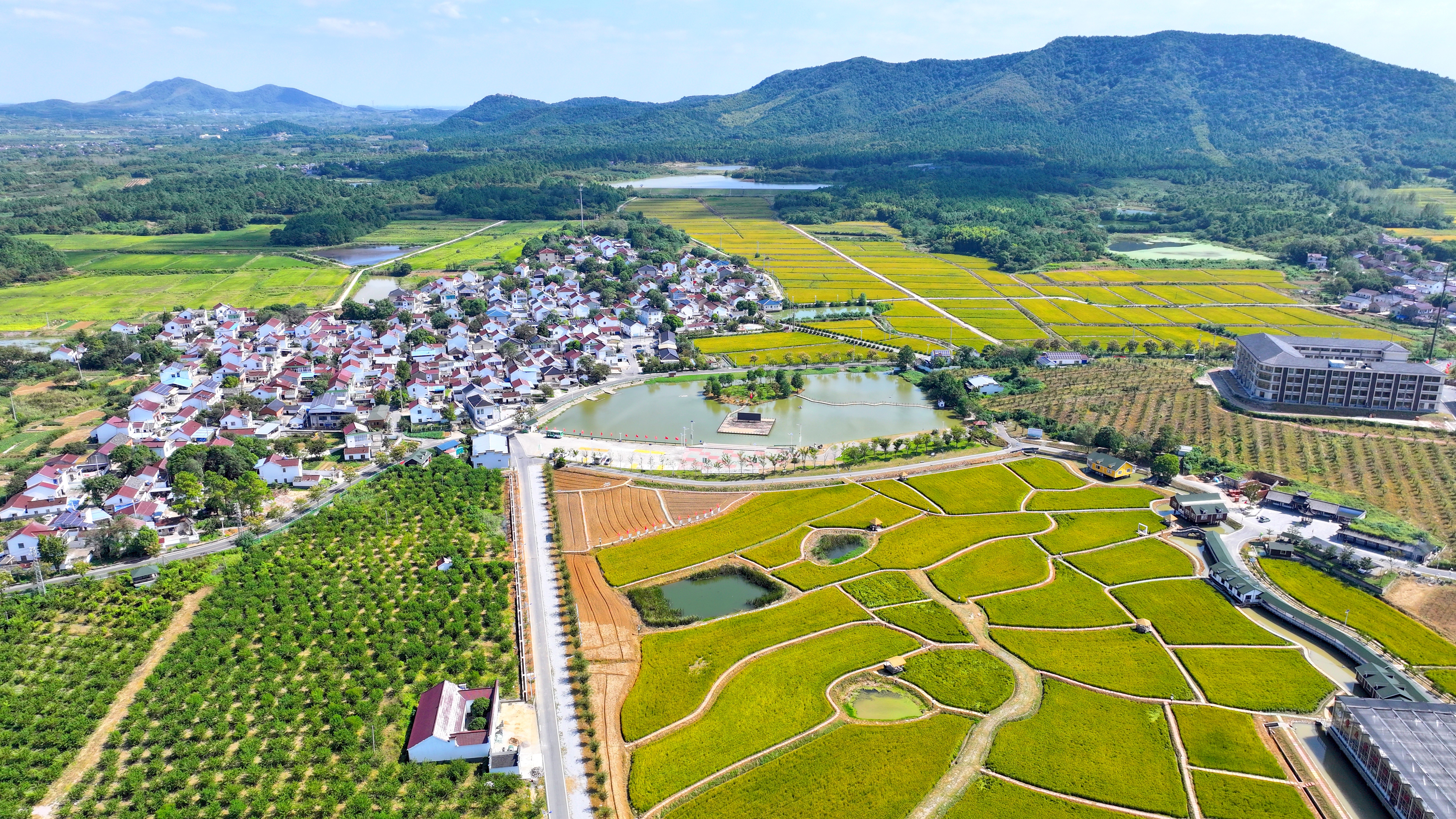 南京率先探索建设零碳田园(图1)