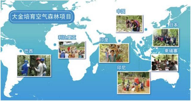 大金荣获2025国际绿色零碳节两项大奖 彰显可持续发展实力(图2)
