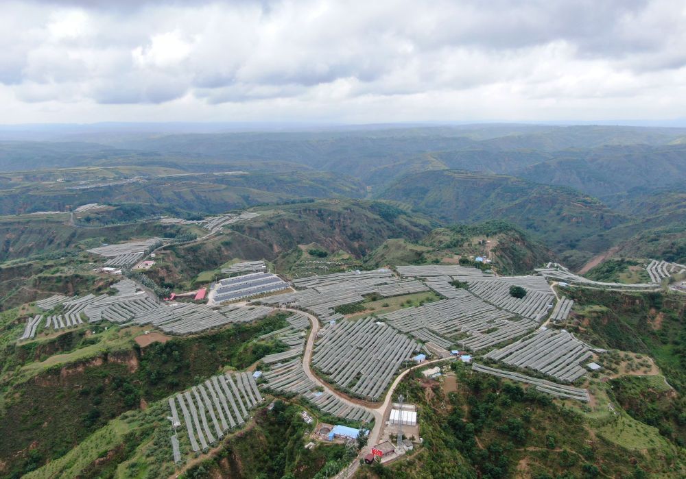 “两山”理念改变中国引领时代(图3)