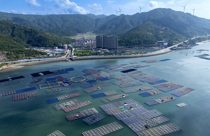 精耕深蓝加快建设海洋强国——“中国经济圆桌会”聚焦海洋经济高质量发展(图12)