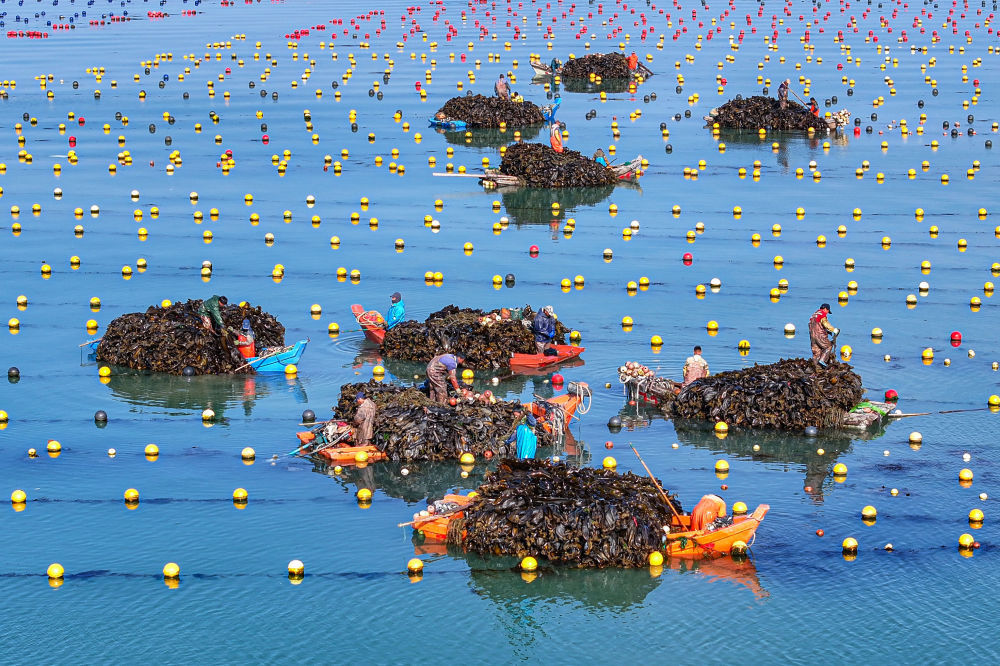 精耕深蓝加快建设海洋强国——“中国经济圆桌会”聚焦海洋经济高质量发展(图14)