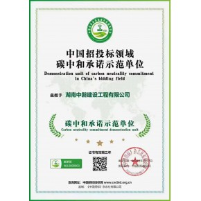 “双碳”目标提出5年：中国实践与战略思考
