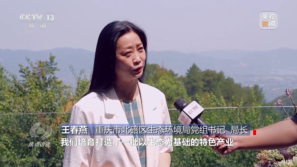 焦点访谈丨因地制宜、创新突破 绿色转型促进高质量发展(图25)