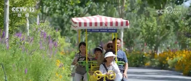 降碳、减污、扩绿 重磅数据出炉！多角度透视碳达峰碳中和重要成果(图4)